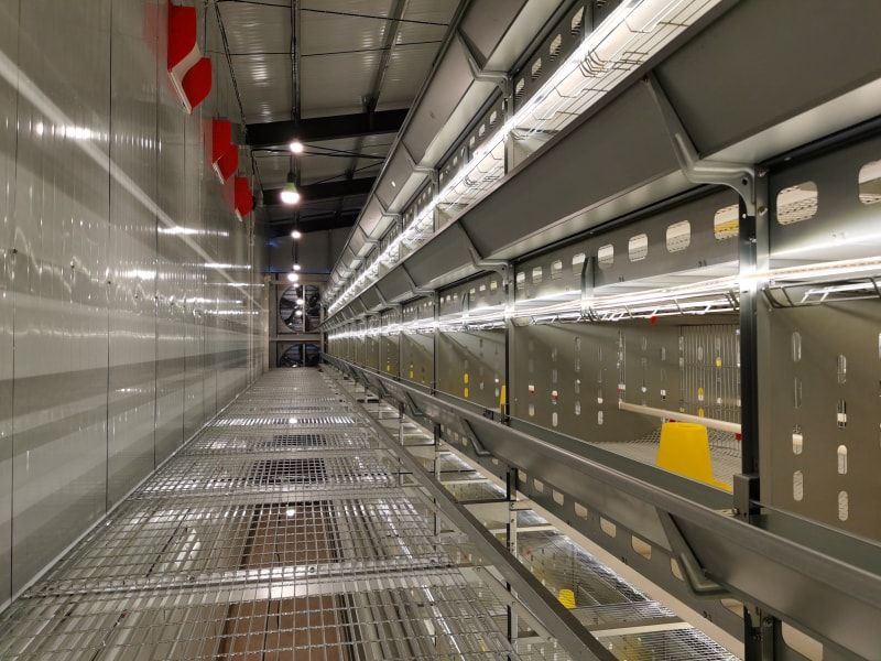 Issues that need to be standardized for automated chicken farming equipment